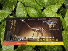 -自贡恐龙博物馆