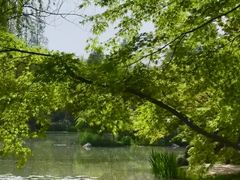 -洛阳市隋唐城遗址植物园