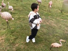 -紫颐香薰山谷景区