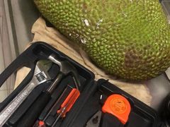 -林旺社区水果市场