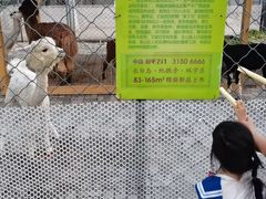 -长白岛森林公园