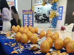 -红星美凯龙北京至尊MALL(东四环中路店)