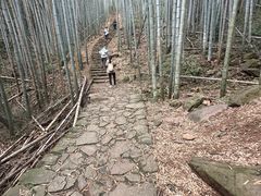 -午潮山国家森林公园