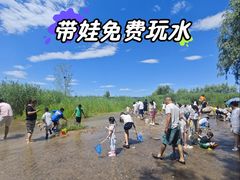 -绿堤公园