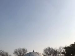 -秦皇岛野生动物园