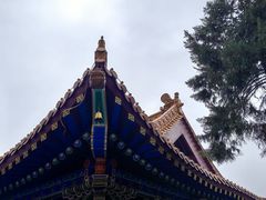 -中原大佛景区