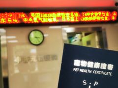 -申普宠物医院·心脏介入·心血管微创(总院)
