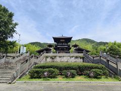 -大唐贡茶院