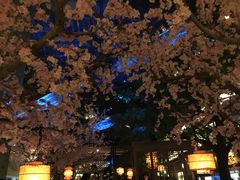 -桂满隴·站立的杭州(无锡八佰伴店)