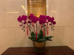 -长沙顺天凯宾斯基酒店·祈顺酒家中餐厅(雨花亭店)