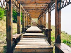 -白草畔自然风景区