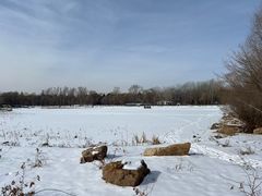 -长春市南湖公园