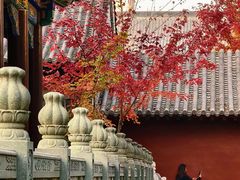 -护国法轮寺
