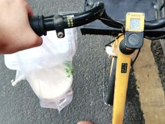 -陈添記·祖傳爽鱼皮·西关老字号(广州首店)