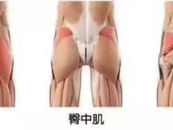 -卡莫瑜伽·普拉提