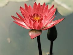 -北京师范大学(珠海校区)