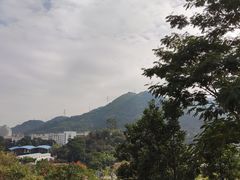 -白石龙音乐公园