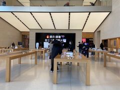 -Apple零售店(苏州店)