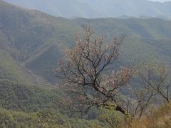 -灵山