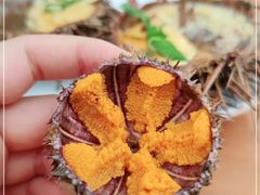 -海胆小馆(东北水饺·春柳店)