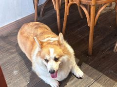 -肥朵食堂(带梦胡同店)