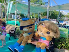 -苏州乐园森林水世界