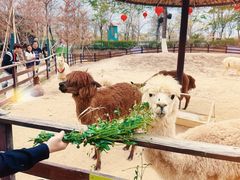 -盈香心动乐园