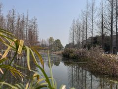 -白鹭湾湿地公园