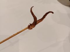 -小杨生煎(龙之梦购物中心店)