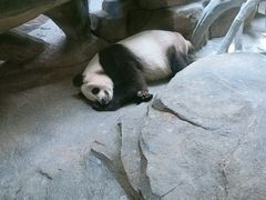 -宁波野生动物园