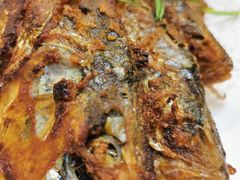 西江香煎黄鱼-八仔大富楼·河鲜(西江店)