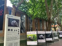 -西安电影制片厂