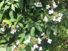 -楠溪江风景名胜区