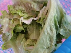 -盐禾堂海南屯昌香草鸭(总店)