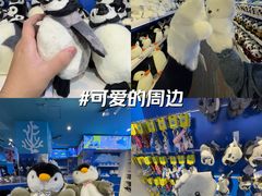 -成都浩海立方海洋公园