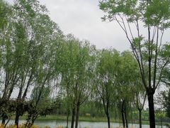 -东郊湿地公园