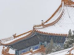 -故宫博物院(故宫)