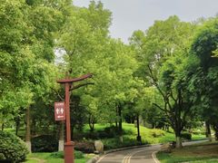 -堤角公园