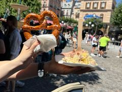 -巴黎迪士尼乐园