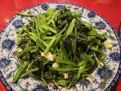 地瓜苗-生态苑农庄(十里画廊遇龙河店)