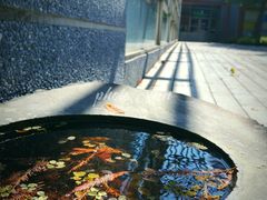 景观位-春水堂人文茶馆