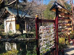 -井之头恩赐公园