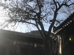 -湘子庙