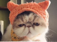 -达记卤菜店(红庙店)