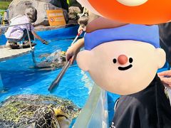 -泉城欧乐堡海洋极地世界