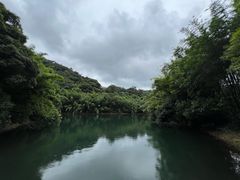 -鼎湖山风景区