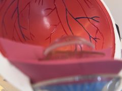 -武汉大学附属爱尔眼科医院(湖北总院)