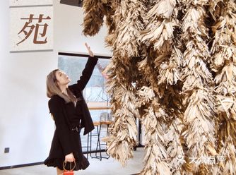北京新展｜市中心的森林部落穿越印第安