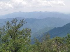 -牛背梁国家森林公园
