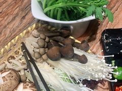 -春润大地海南椰子鸡(沙井京基百纳广场店)
